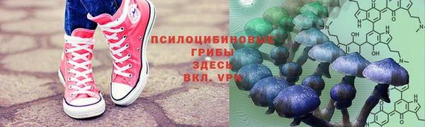 амф Абдулино