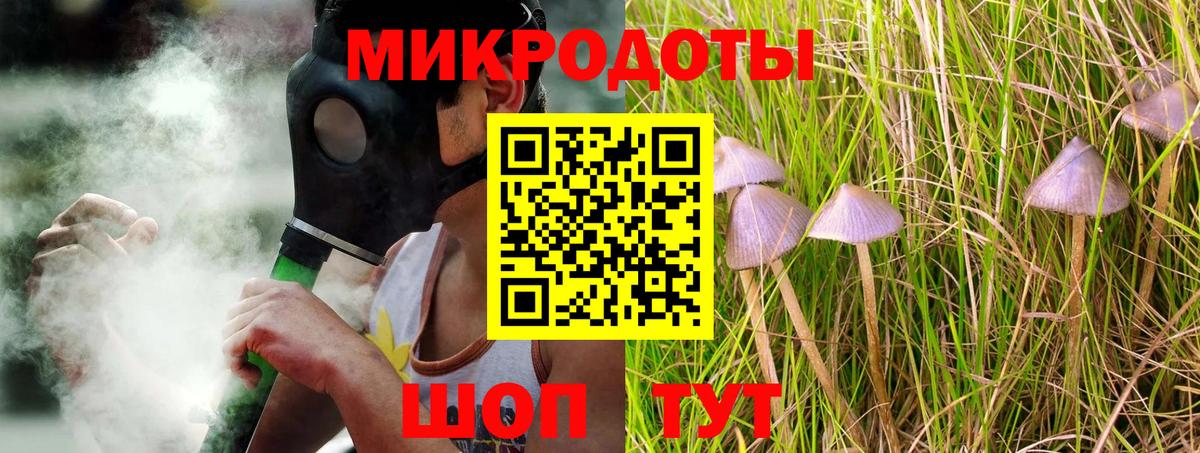 Галлюциногенные грибы Psilocybe Донецк