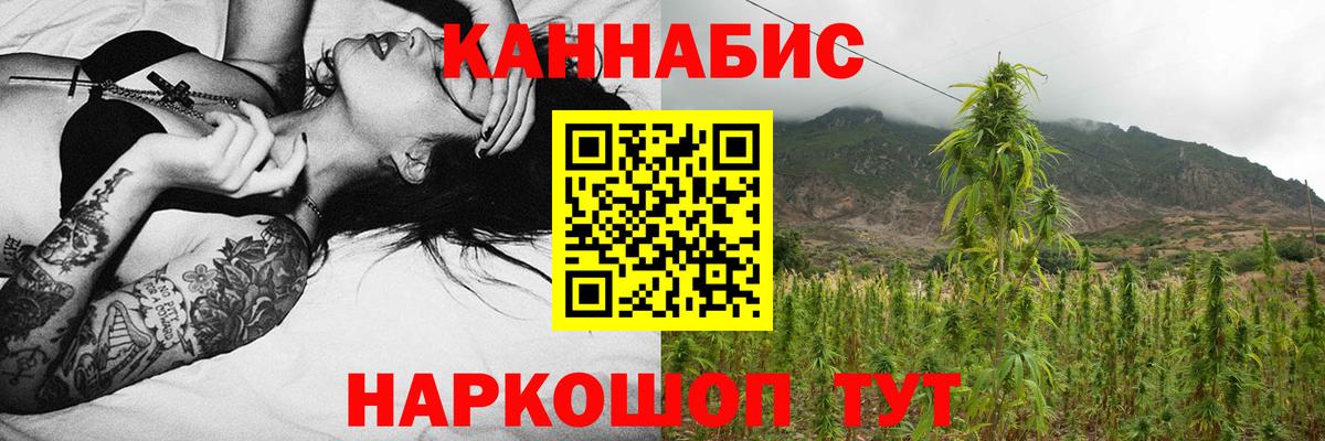 Конопля семена  Конопля AK-47  Вход с VPN  Донецк 